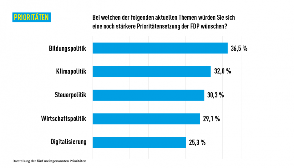 Welche Schwerpunkte sollten die Freien Demokraten setzen?