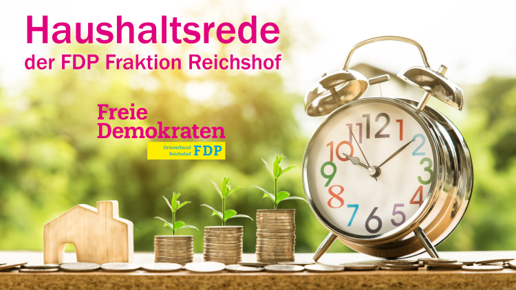 Haushaltsrede der FDP-FRAKTION